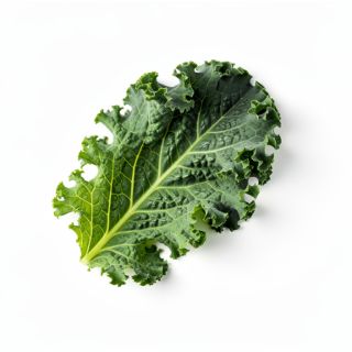 Kale