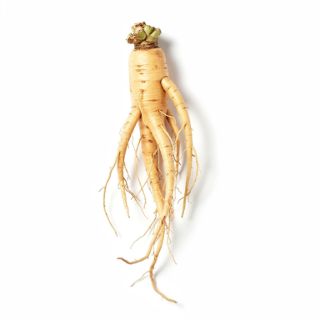 Ginseng