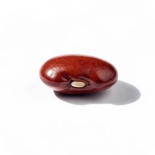 Kidney Bean