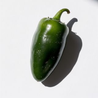 Jalapeño Pepper