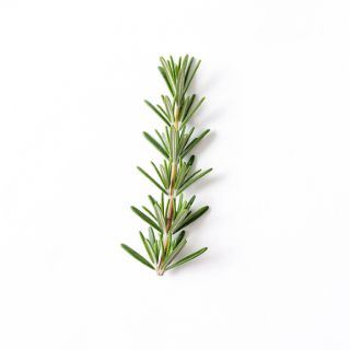 Thyme Or Rosemary Leave