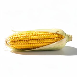 Corn