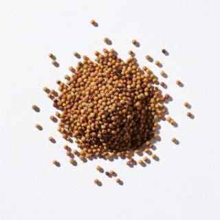 Mustard Seeds
