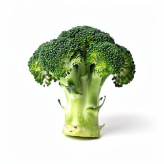 Broccoli