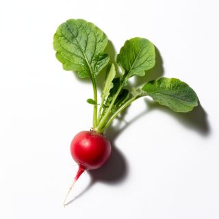 Radishes