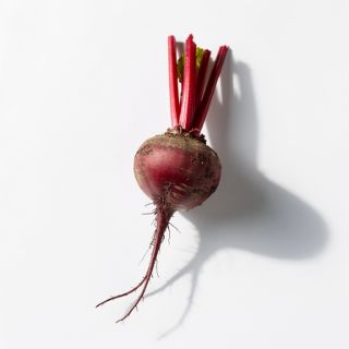 Red Root