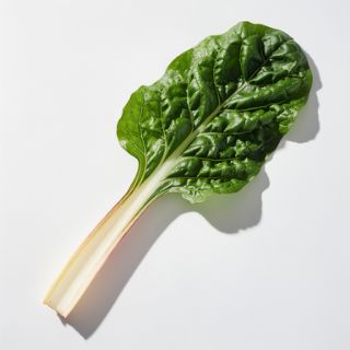 Swiss Chard