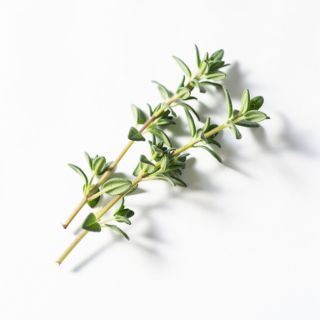 Thyme
