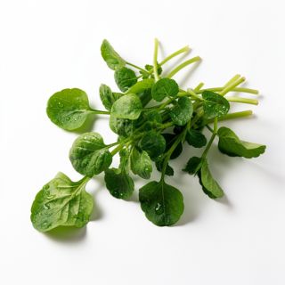 Watercress