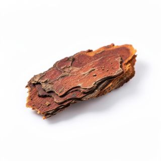 Wild Cherry Bark