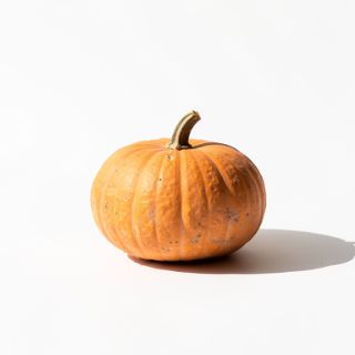 Winter Squash