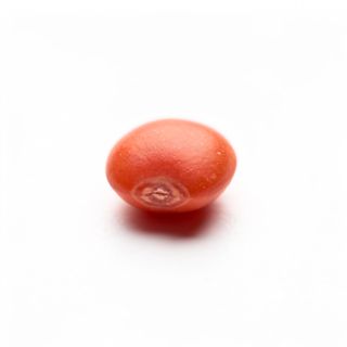 Red Lentil
