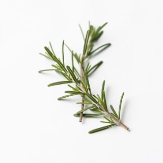 Rosemary