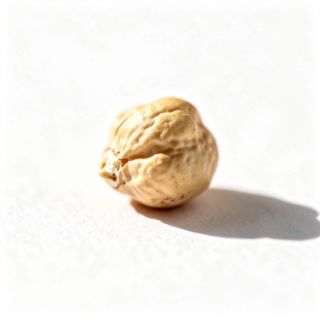 Chickpea