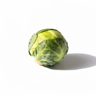 Brussels Sprout
