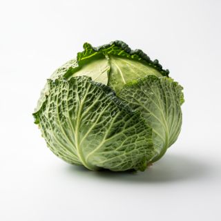 Cabbage