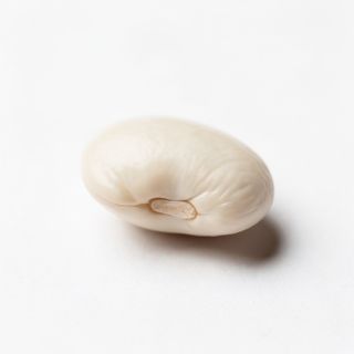 White Bean