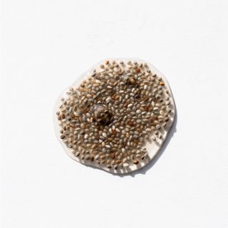 Chia Egg (1 Chia Seed, 3 Water, Set Aside