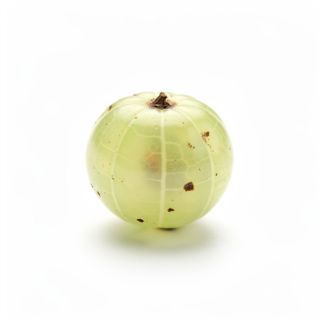Amla Berry