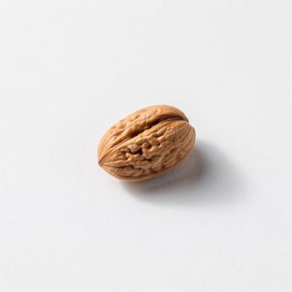 Nuts Or Seed