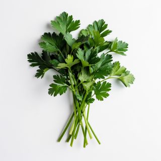 Loosely Packed Parsley