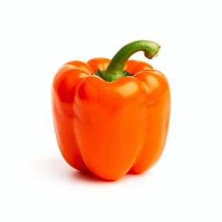Orange Bell Pepper