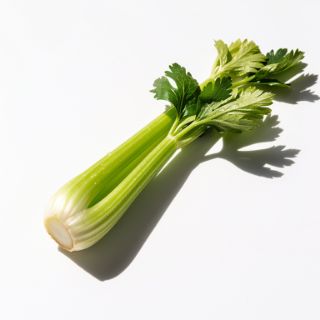 Celery