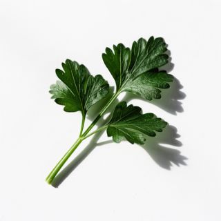 Parsley