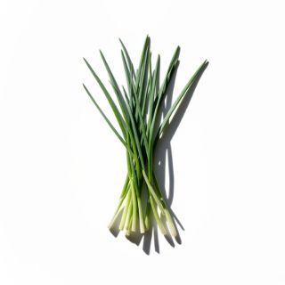 Chives