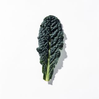 Lacinato Kale