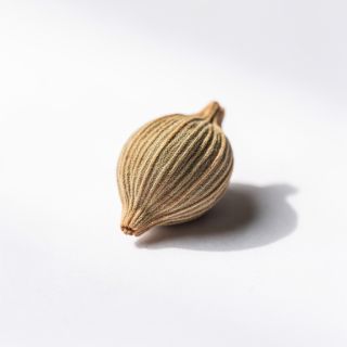Cumin