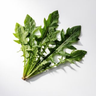 Dandelion Greens