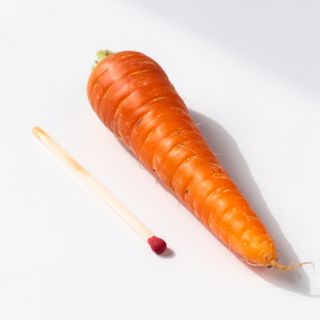 Carrot, Matchstick